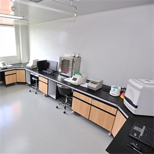 PCR实验室项目承接