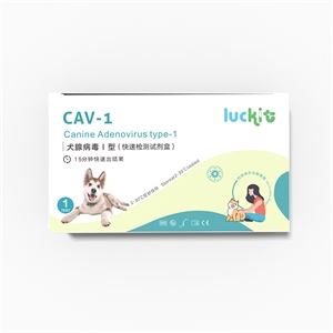 宠物CAV-1犬腺病毒I型