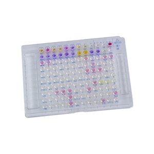 美华微生物（真菌）鉴定及药敏分析系统测试板10T/盒