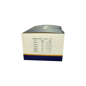核酸提取试剂盒Ⅱ(磁珠法)鑫贝西