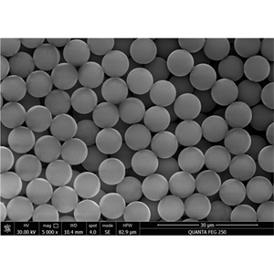 200 nm/SiO2磁珠/二氧化硅磁性微球