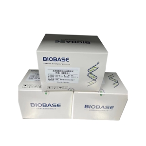 全血基因组DNA提取试剂盒（磁珠法）博弘基因
