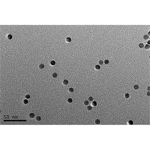Oleic acid modified Fe3O4 nano（5nm）/油酸修饰四氧化三铁磁珠