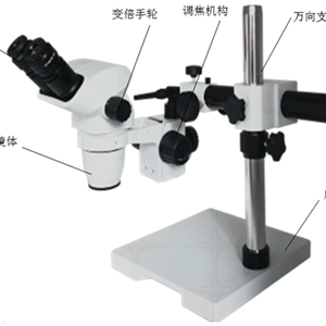 瑞沃德 77001S 双目体视显微镜