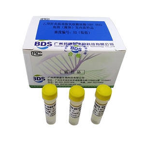 乙型肝炎病毒脱氧核糖核酸（HBV DNA）血清（液体）室内质控品L3