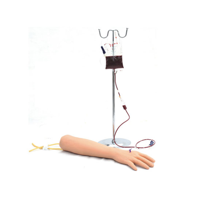 知能医学/医博手臂静脉穿刺训练模型BIX-HS1（可进行静脉的注射、输液（血）、抽血等穿刺训练）
