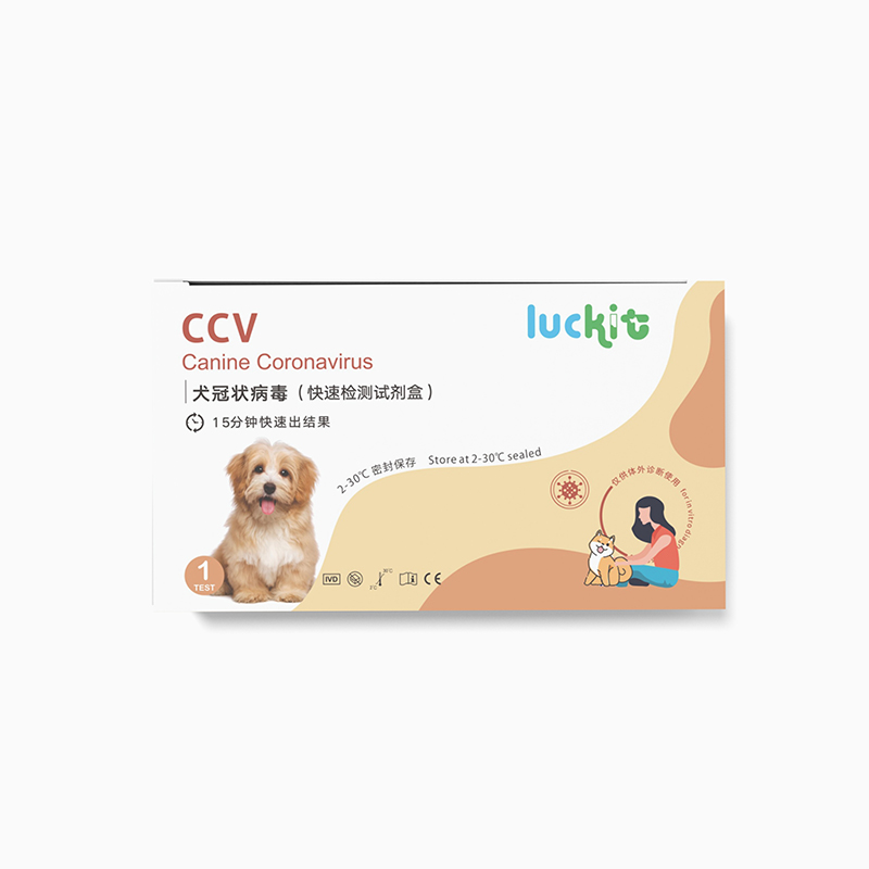 宠物CCV犬冠状