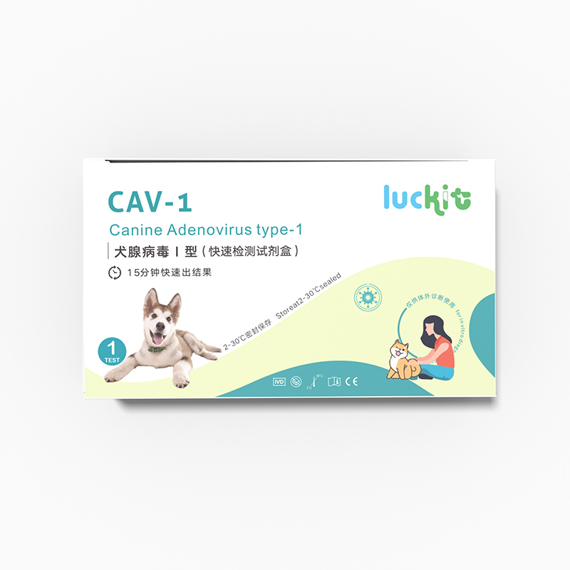 宠物CAV-1犬腺病毒I型