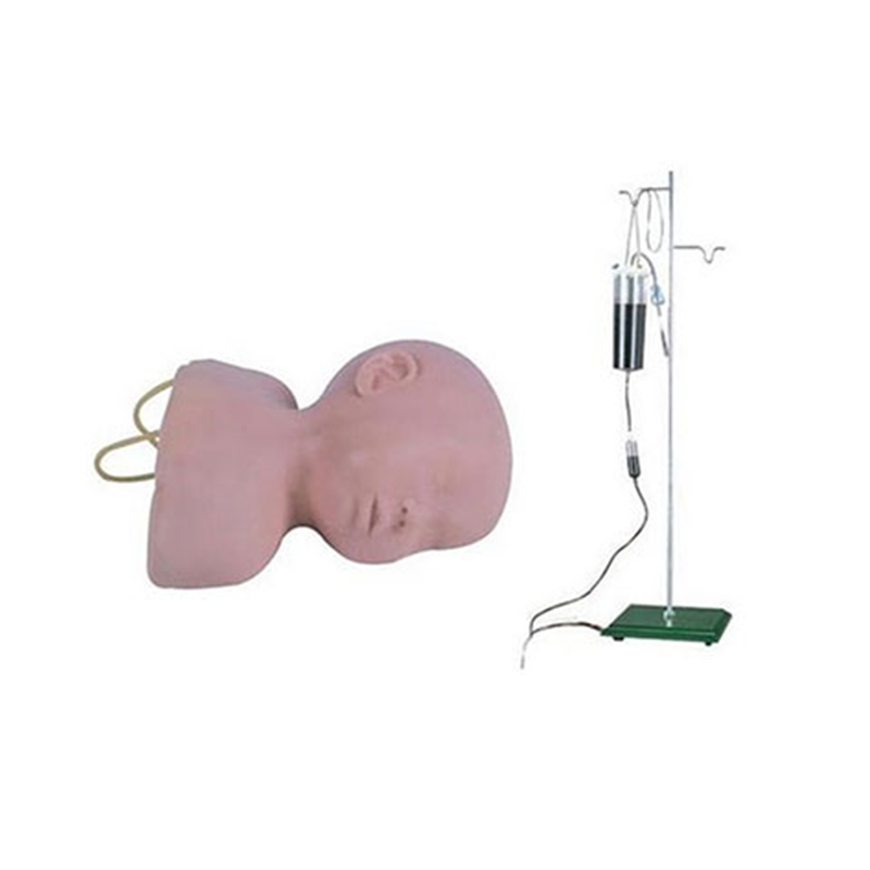 知能医学BIX-HS6/1高级婴儿头部静脉穿刺训练模型（单侧）（高级婴儿头部静脉穿刺训练模型（单侧））