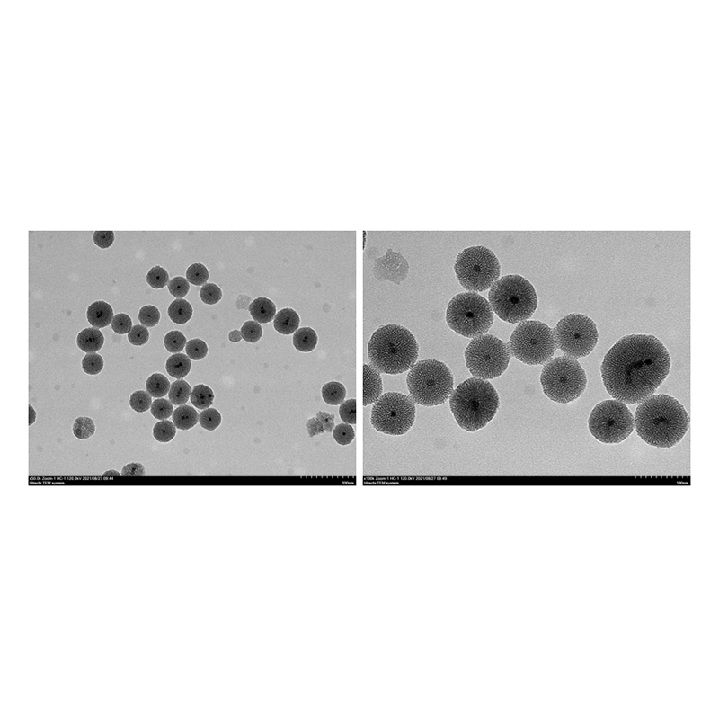 80-100 nm/PEG修饰磁性介孔二氧化硅微球