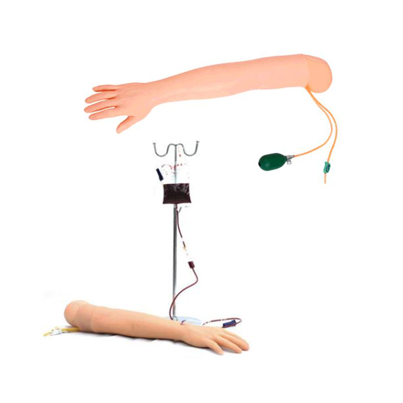 知能医学BIX-HS5/2动静脉脉穿刺手臂模型（动静脉脉穿刺手臂模型）