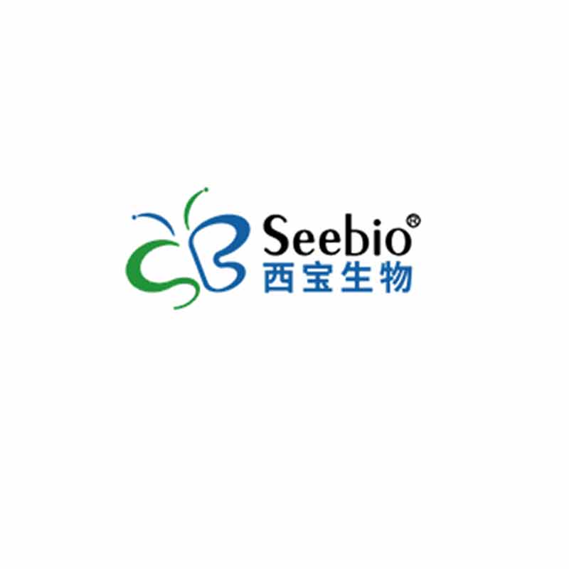 Seebio® KOD DNA 聚合酶（不含 dNTP）