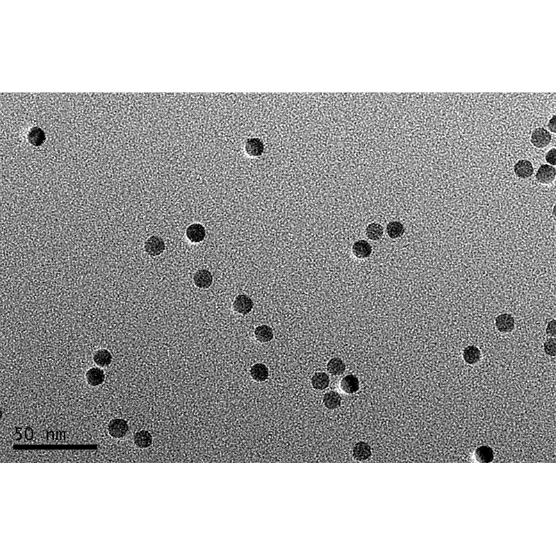 Oleic cid mpdified Fe3O4 nanoparticles (MW:10nm)/油酸修饰四氧化三铁磁珠