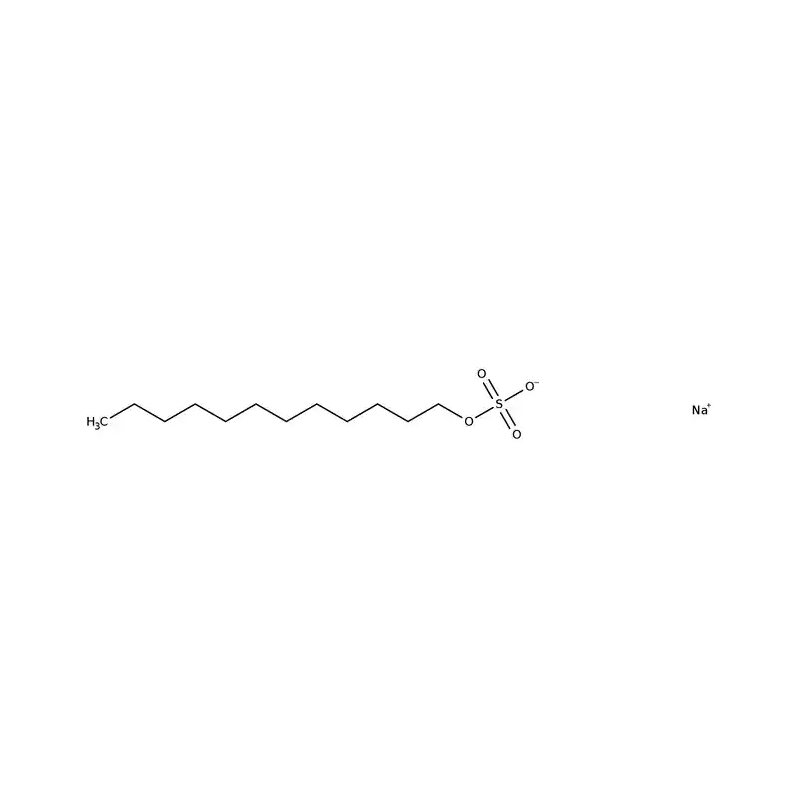 SDS 溶液、10% 十二烷基硫酸钠溶液、分子生物学/电泳、费希尔生物试剂™