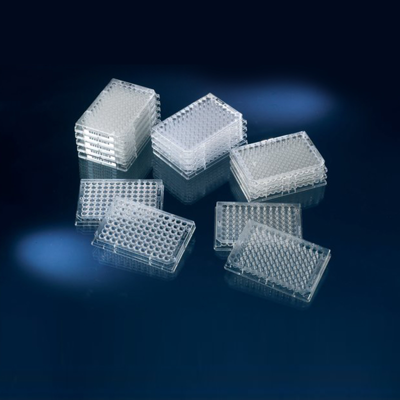 nunc 细胞培养板 ,多孔培养板,聚苯乙烯,带盖